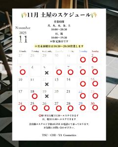 11月のスケジュール