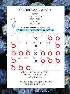 6月のスケジュール